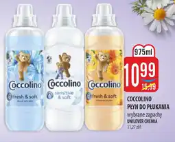 MOKPOL Coccolino płyn do płukania unilever chemia oferta