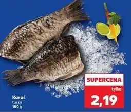 Kaufland Karaś tusza oferta