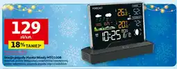 Auchan Stacja pogody mto100b Manta oferta