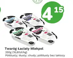 Limonka Twaróg Łaciaty Mlekpol oferta