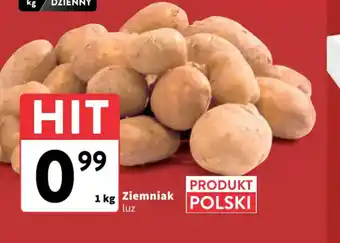 Intermarche Ziemniak oferta