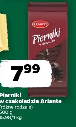 Netto Pierniki w czekoladzie (różne rodzaje) Arlante oferta