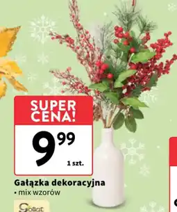 Intermarche Gałązka dekoracyjna oferta