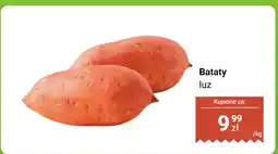 Dino Bataty luz Dino oferta