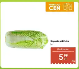 Dino Kapusta pekińska luz Dino oferta