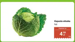 Dino Kapusta włoska luz Dino oferta