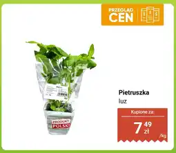 Dino Pietruszka luz Dino oferta