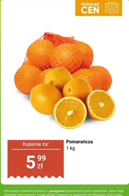 Dino Pomarańcza 1 kg Dino oferta
