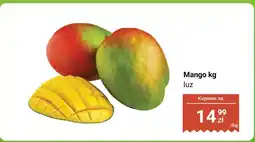 Dino Mango luz Dino oferta