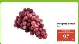 Dino Winogrono ciemne luz Dino oferta