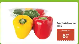 Dino Papryka trikolor mix Dino oferta