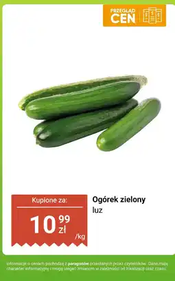 Dino Ogórek zielony luz Dino oferta