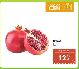 Dino Granat luz Dino oferta