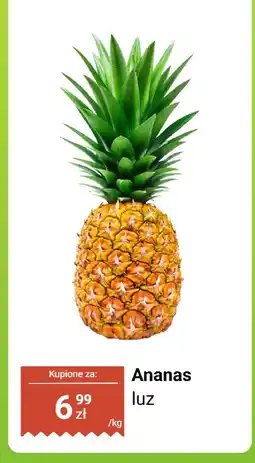 Dino Ananas luz Dino oferta