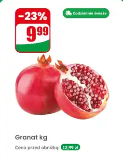 Dino Granat kg Dino oferta