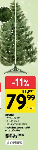 Intermarche Sosna oferta