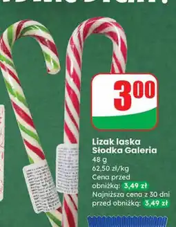 Dino Lizak laska Słodka Galeria oferta