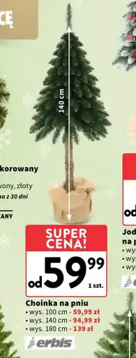 Intermarche Choinka na pniu oferta