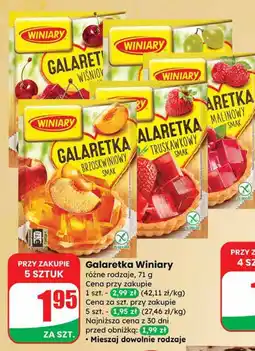 Dino Galaretka Winiary oferta