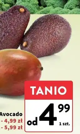 Intermarche Awocado Hass 1 szt. Intermarche oferta