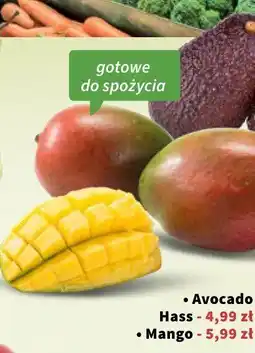 Intermarche Mango 1 szt. Intermarche oferta