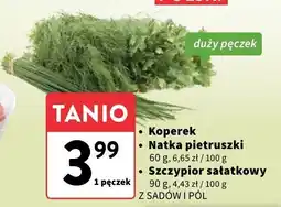 Intermarche Szczypior sałatkowy Z Sadów i Pól oferta