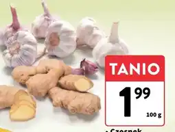 Intermarche Czosnek Intermarche oferta