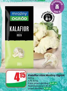 Dino Kalafior róża mrożony Mroźny Ogród oferta