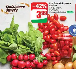 Dino Rzodkiewka Dino oferta