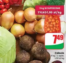 Dino Cebula Dino oferta