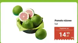 Biedronka Pomelo różowe luz Biedronka oferta