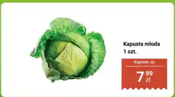 Biedronka Kapusta młoda 1 szt. Biedronka oferta