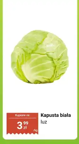 Biedronka Kapusta biała luz Biedronka oferta