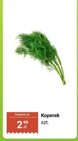Biedronka Koperek szt. Biedronka oferta