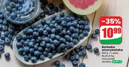 Dino Borówka amerykańska Dino oferta