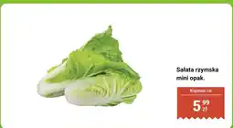 Biedronka Sałata rzymska mini opak. Biedronka oferta