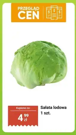 Biedronka Sałata lodowa 1 szt. Biedronka oferta