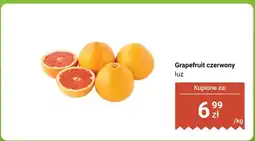 Biedronka Grapefruit czerwony luz Biedronka oferta