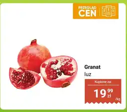 Biedronka Granat luz Biedronka oferta