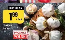 Polomarket Czosnek Harnas oferta