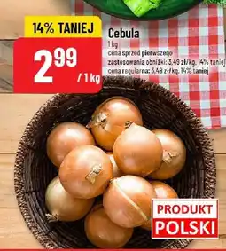 Polomarket Cebula POLOmarket oferta