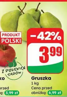 Dino Gruszka Dino oferta