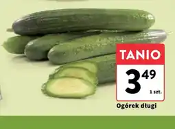 Intermarche Ogórek długi oferta