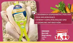 Kaufland Kurczak zagrodowy tuszka 1 kg DROSED oferta