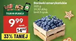 Delikatesy Centrum Borówki amerykańskie Delikatesy Centrum oferta