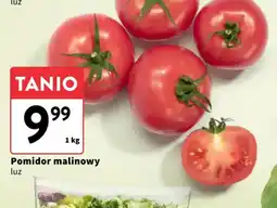 Intermarche Pomidor malinowy oferta
