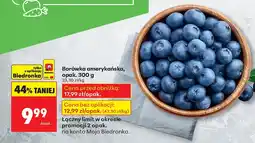 Biedronka Borówka amerykańska 300 g Biedronka oferta