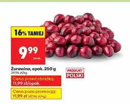 Biedronka Żurawina 250 g Biedronka oferta
