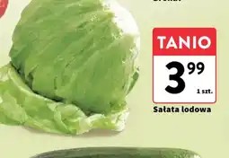 Intermarche Salata lodowa oferta