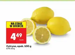 Biedronka Cytryna opak. 500 g Biedronka oferta